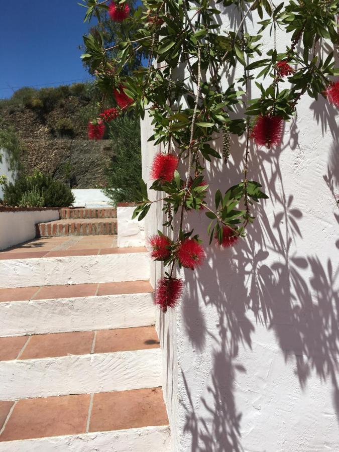 B&B And Apartments Cortijo La Zapatera Canillas de Aceituno Kültér fotó