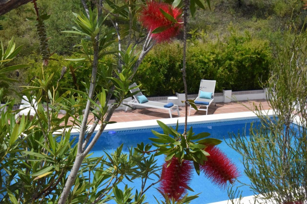 B&B And Apartments Cortijo La Zapatera Canillas de Aceituno Kültér fotó