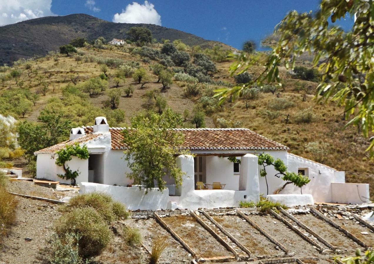 B&B And Apartments Cortijo La Zapatera Canillas de Aceituno Kültér fotó